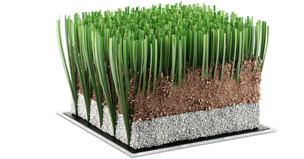 synthetic turf suppliers dmx