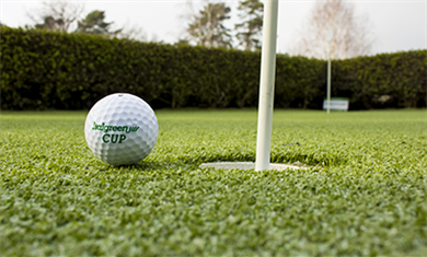 Synthetic turf for golf fields