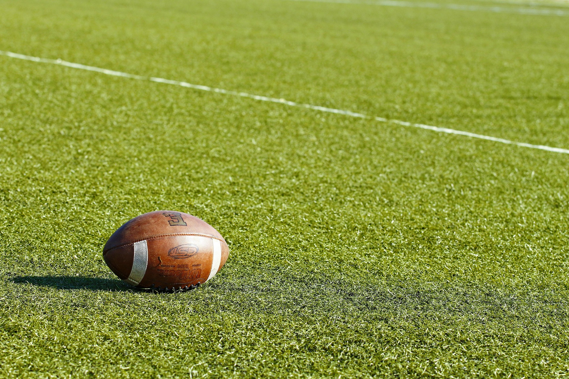 Sports turf suppliers