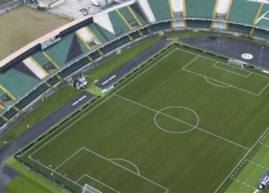 avellino synthetic turf
