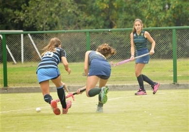 field-hockey-turf-players