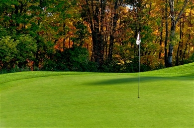golf-turf-manufacturers-copertina